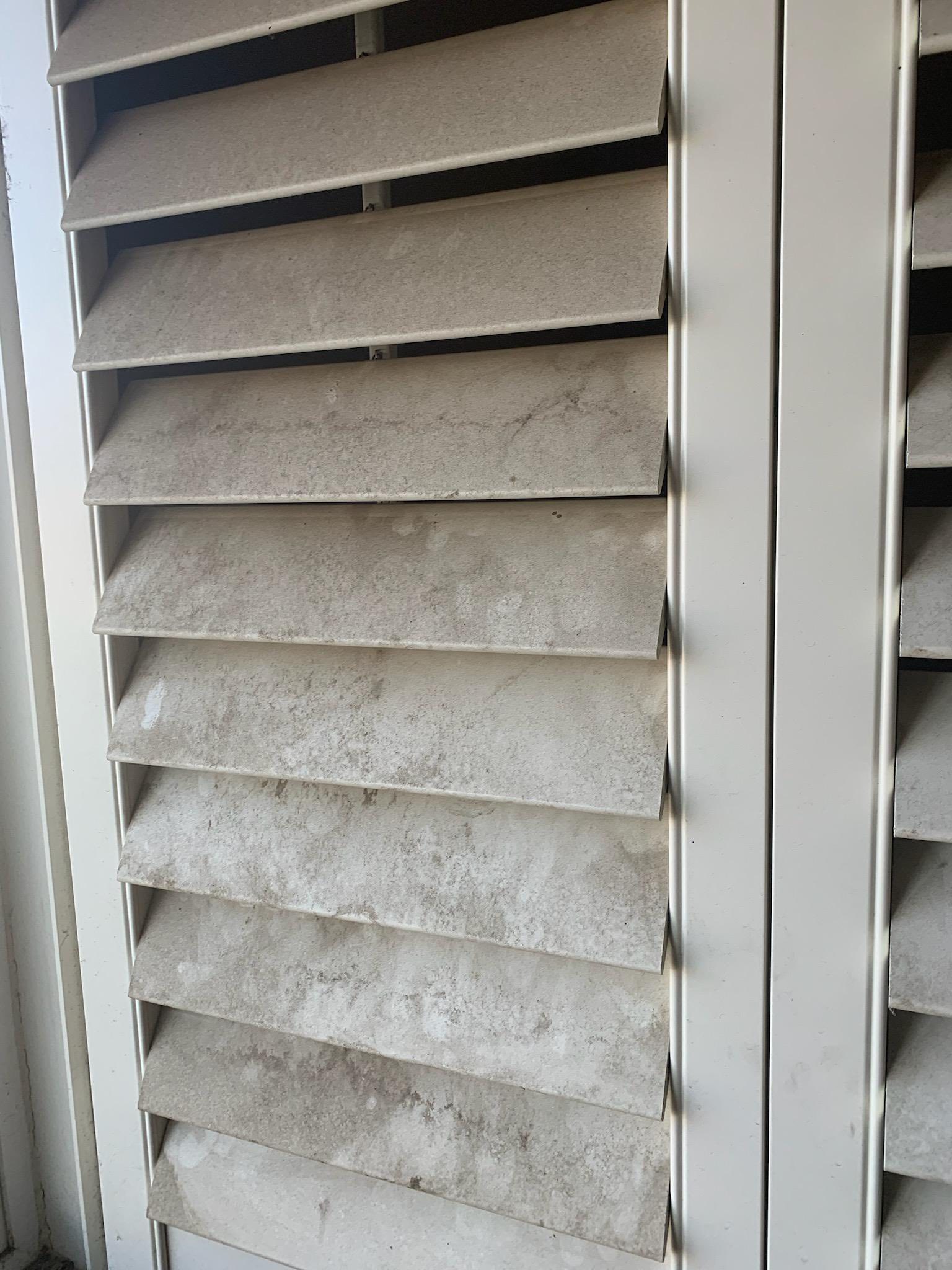 Professional cleaning service