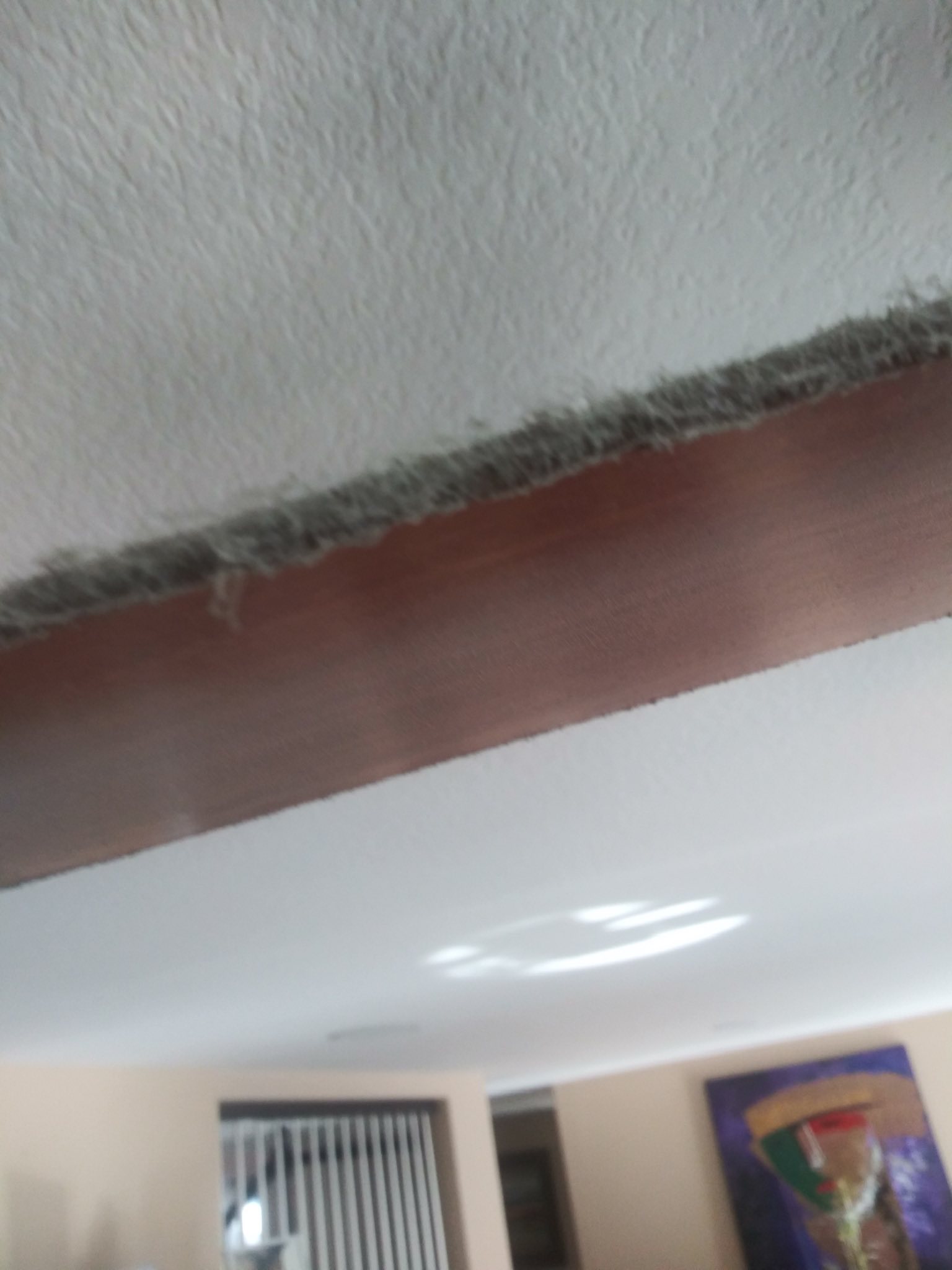 Professional cleaning team