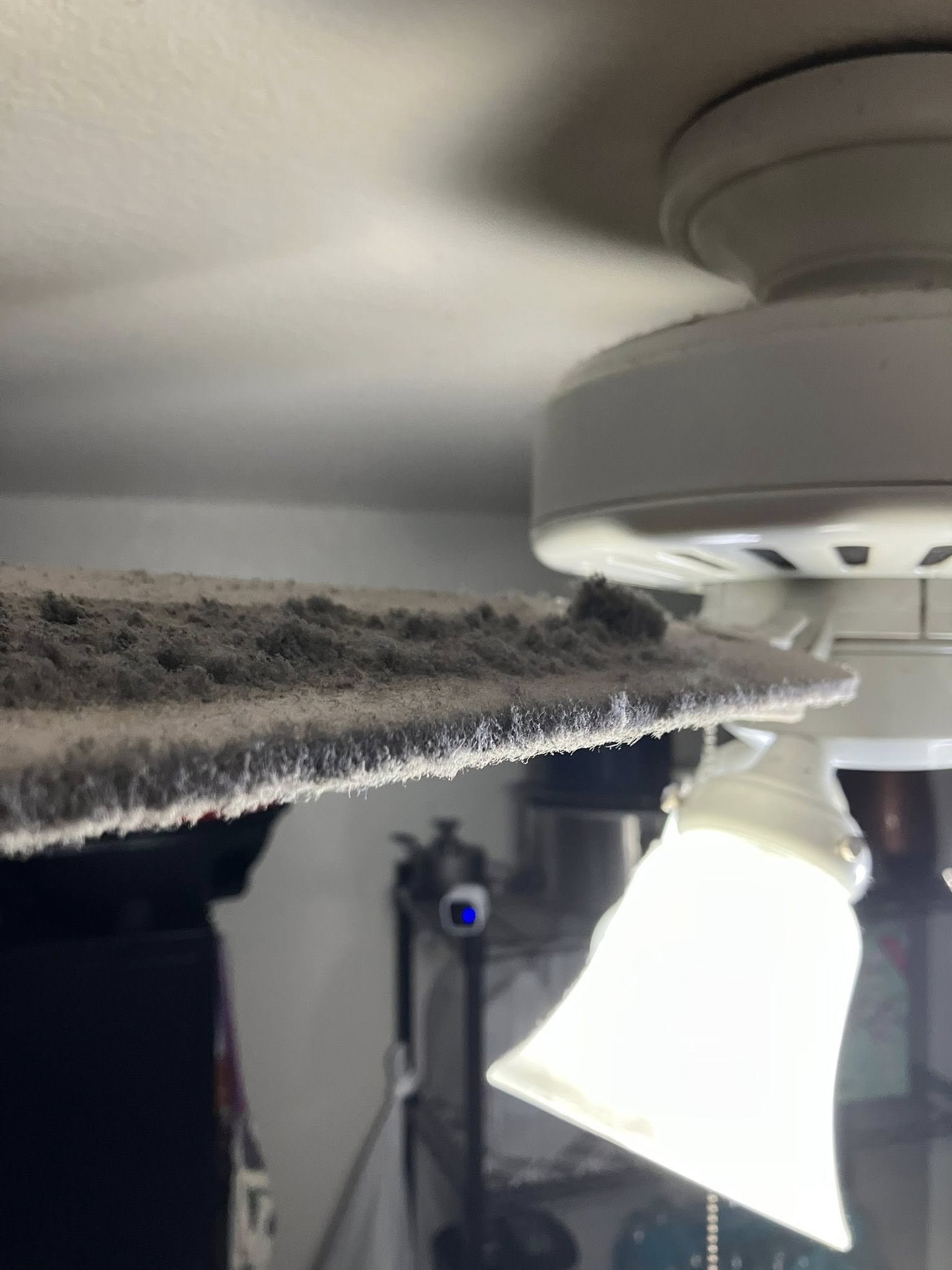 Royal cleaning treatment